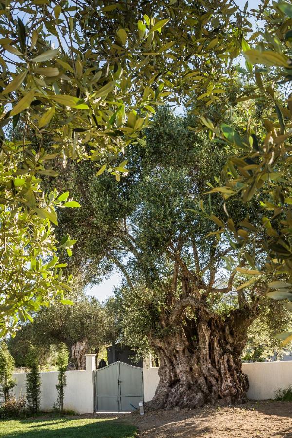 Villa Laoura Svoronata Eksteriør billede